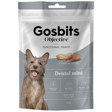 Gosbits_Objective_Dental_Mini