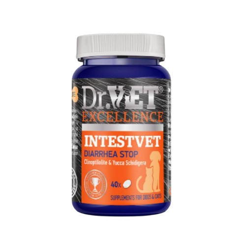 intestvet dr vet