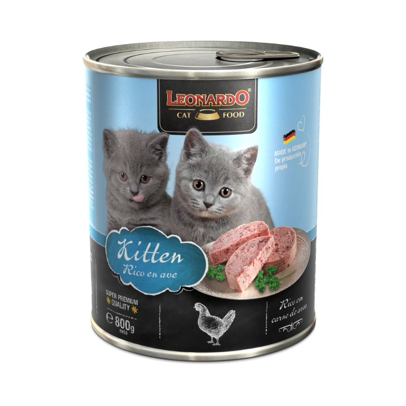 leonardo-kitten-ave-800g_l