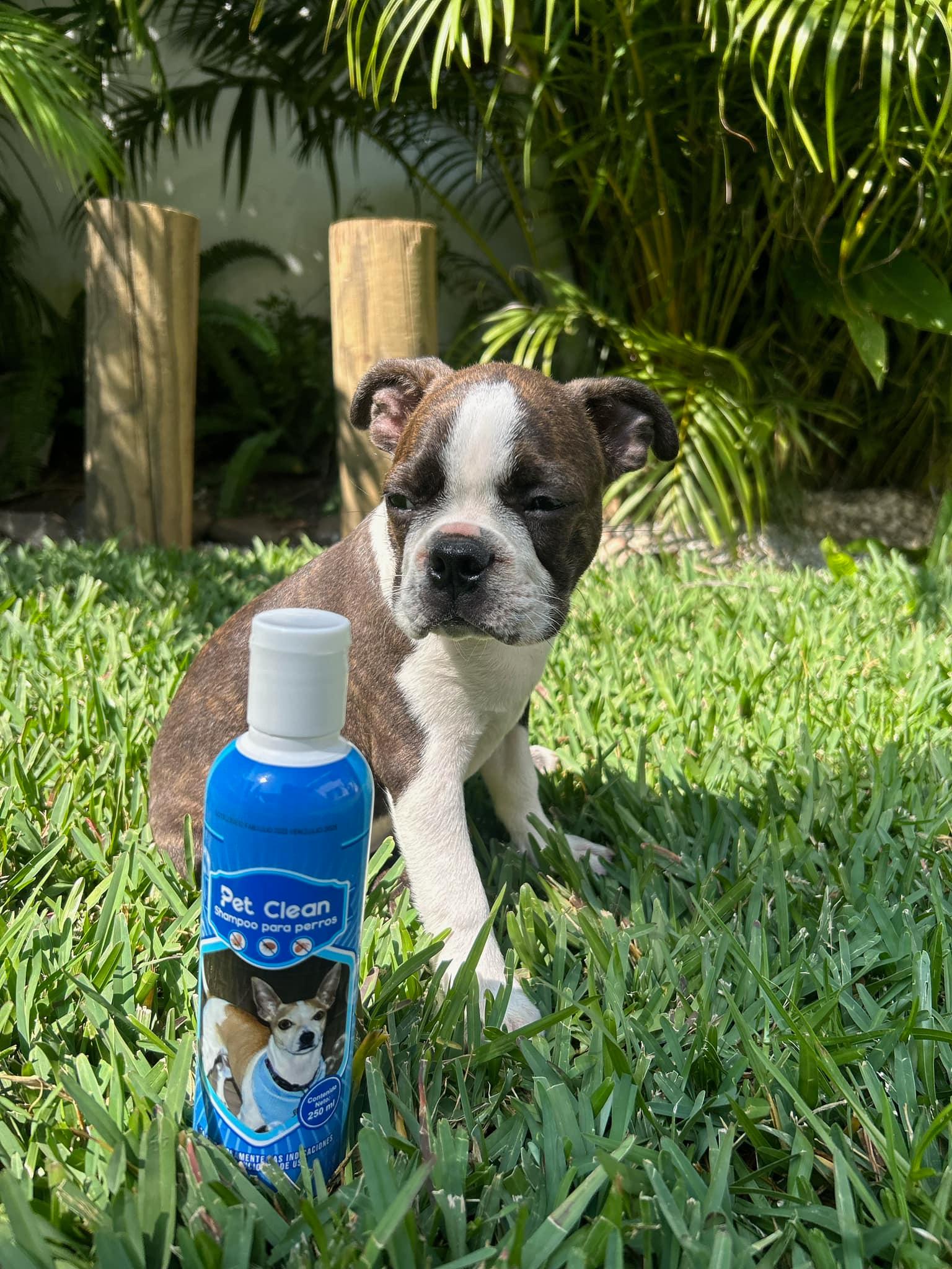 480818122_638495755219430_258903279843449608_n