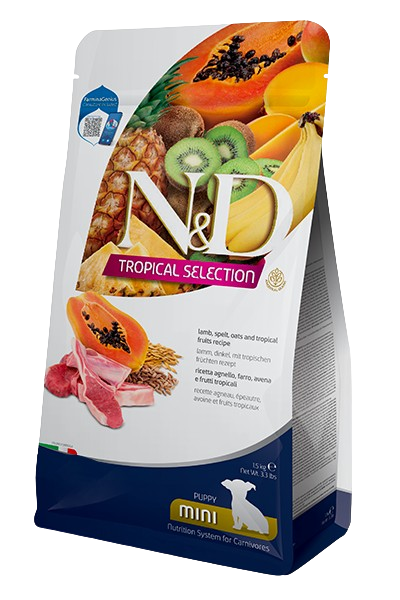 TROPICAL SELECTION CORDERO PUPPY