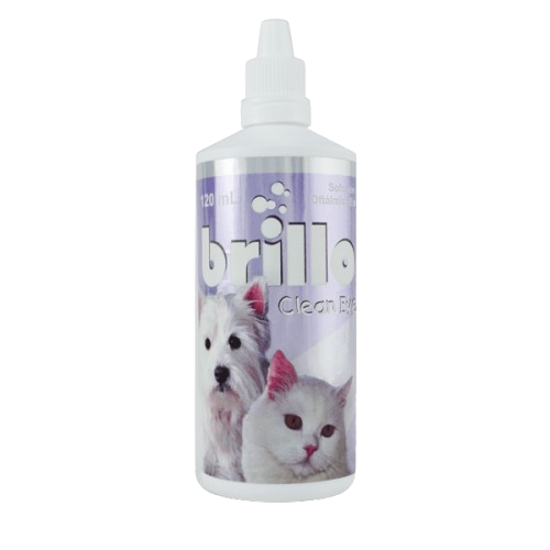 BRILLO CLEAN EYES