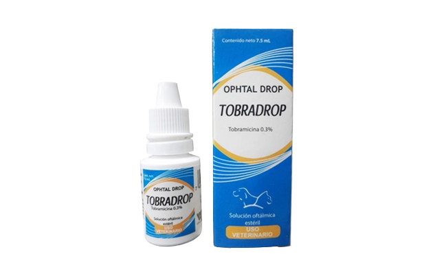 TOBRADROP