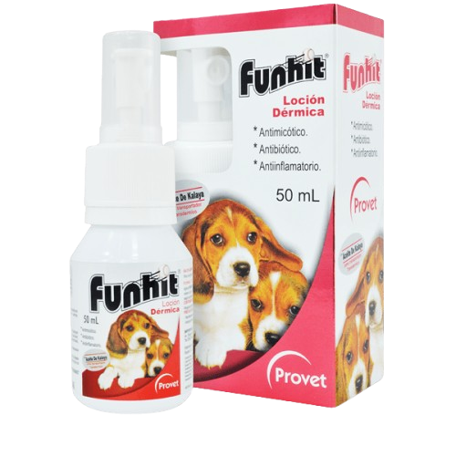 funhit