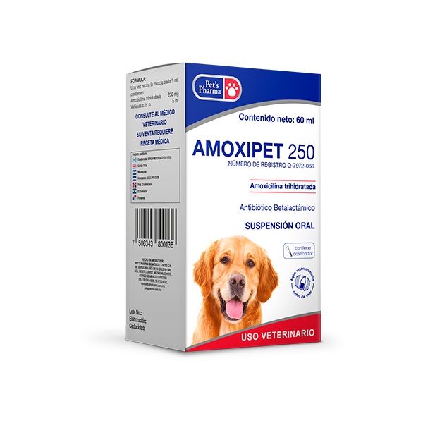 AMOXIPET 250 - 60 ML