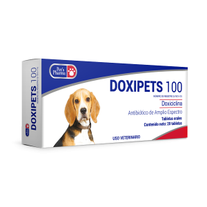 DOXIPETS 100 - 20 TBL