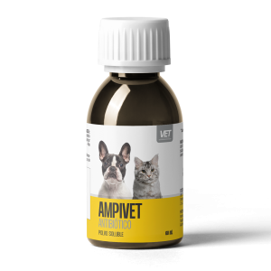 Ampivet Polvo Oral 250 mg, 60 mL
