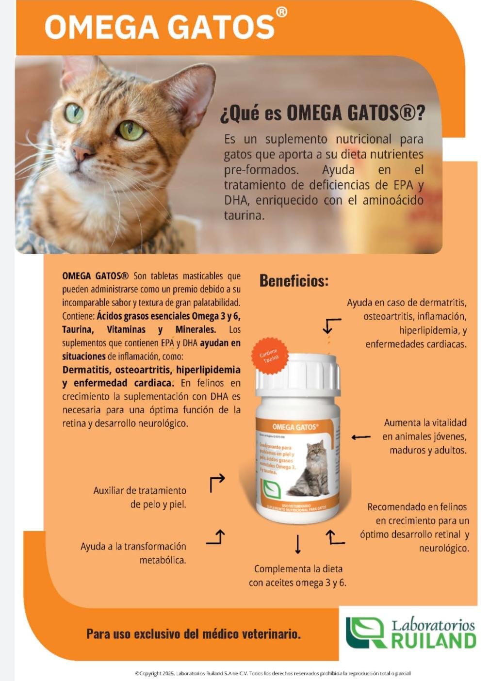 Ruiland Vetri-OMEGA Gatos 60TAB - Image 2