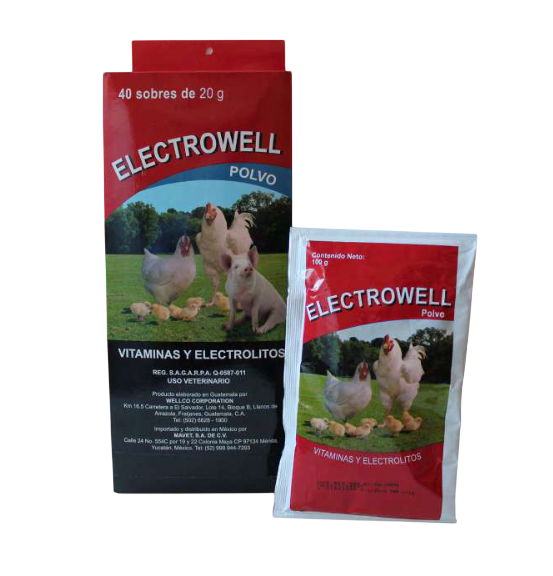ELECTROWELL Vitaminas y electrolitos en polvo soluble - Image 2