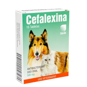 Cefalexina 500mg - CALOX Caninos y Felinos
