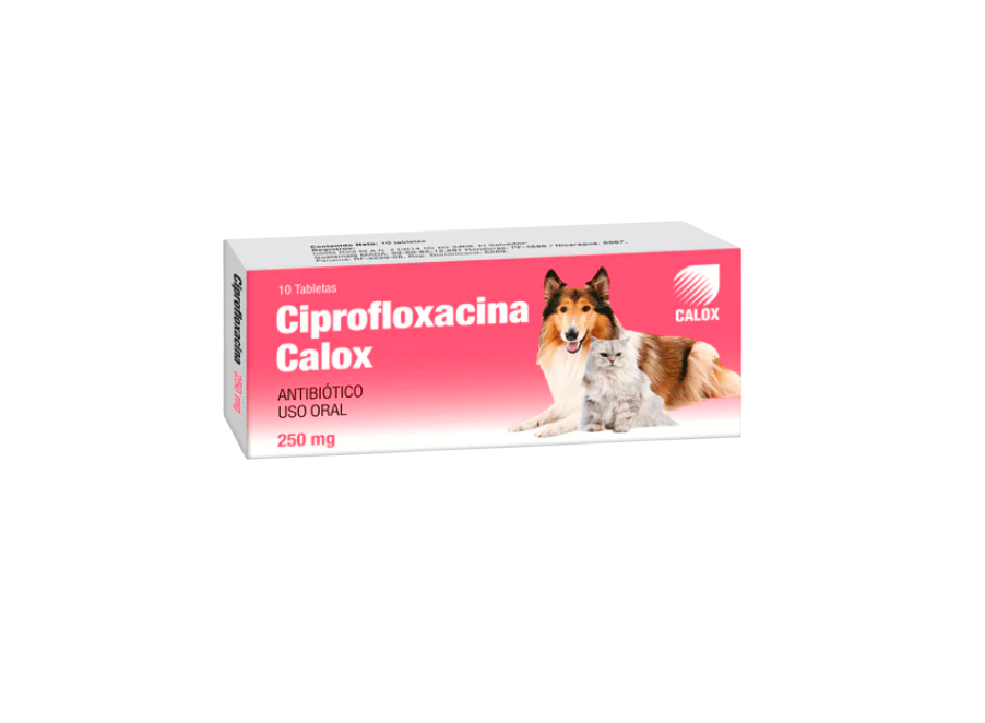 Ciprofloxacina 250mg - CALOX