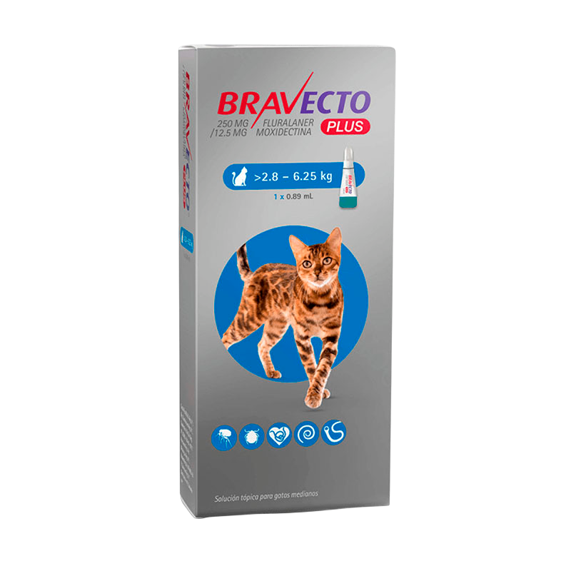 bravecto6