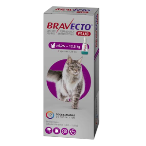 bravecto12
