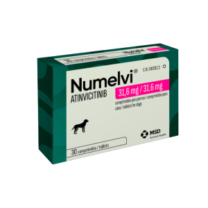 numelvi31