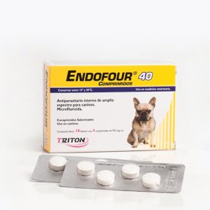 Endofour 40 - Caja de 4 Pastillas birranuradas y saborizados)