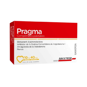 PRAGMA 10MG